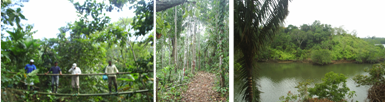 Finca modelo para desarrollar actividades ecoturísticas en El Tigre, San Lorenzo