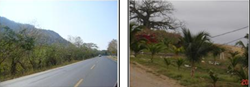Plan de Reforestación Sustentable orientado a proporcionar Servicios Ambientales en las vías concesionadas y otros sectores de la Provincia del Guayas