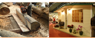 Proyecto: Madera de origen legal, rutas y cadenas productivas
